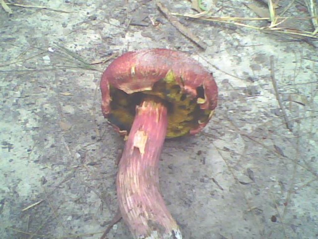 Boleto da DETERMINARE.